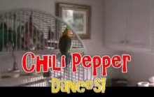 Chili Pepper Dances